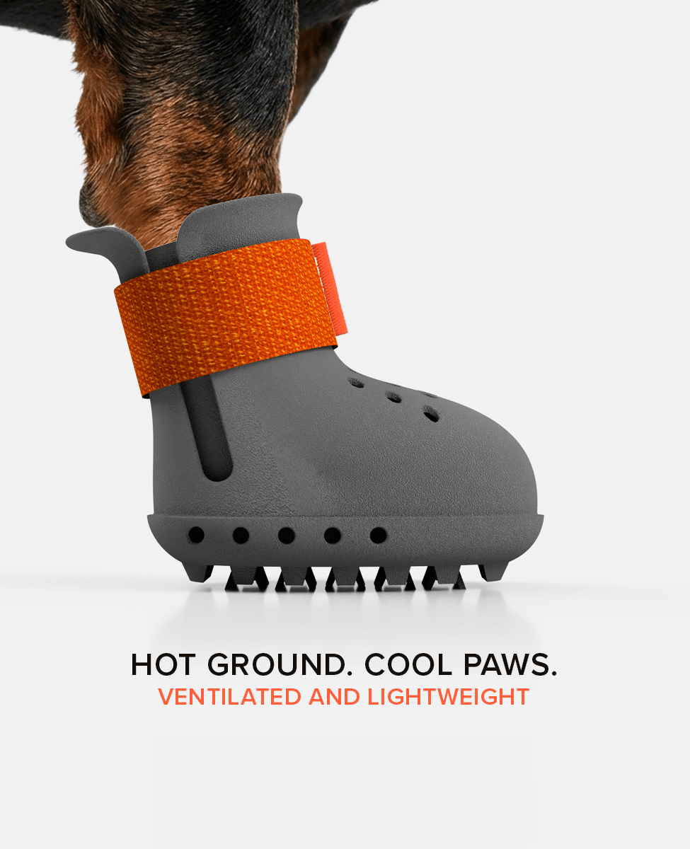 Custom Dachshund dog shoe summer side view