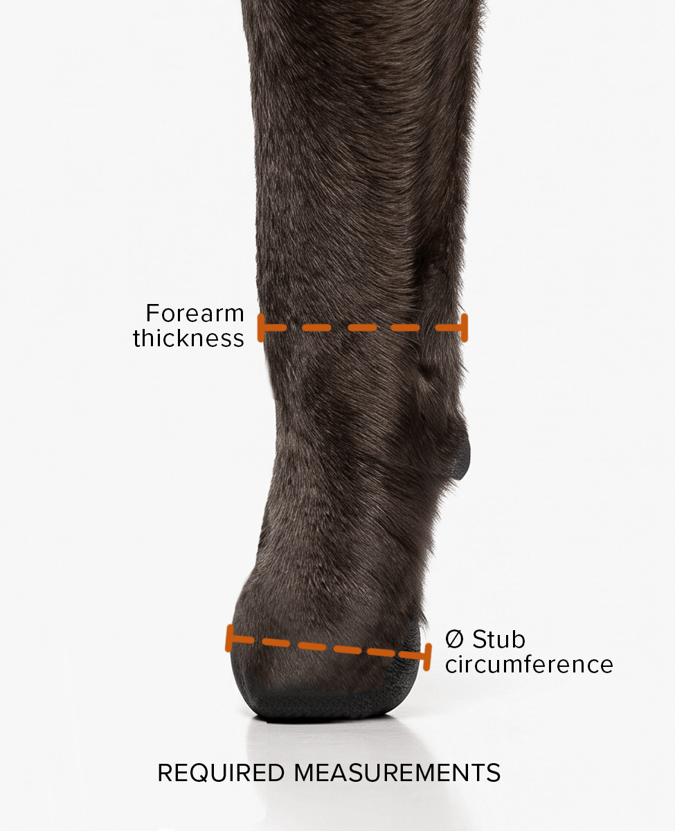 FORELIMB DOG SHOE