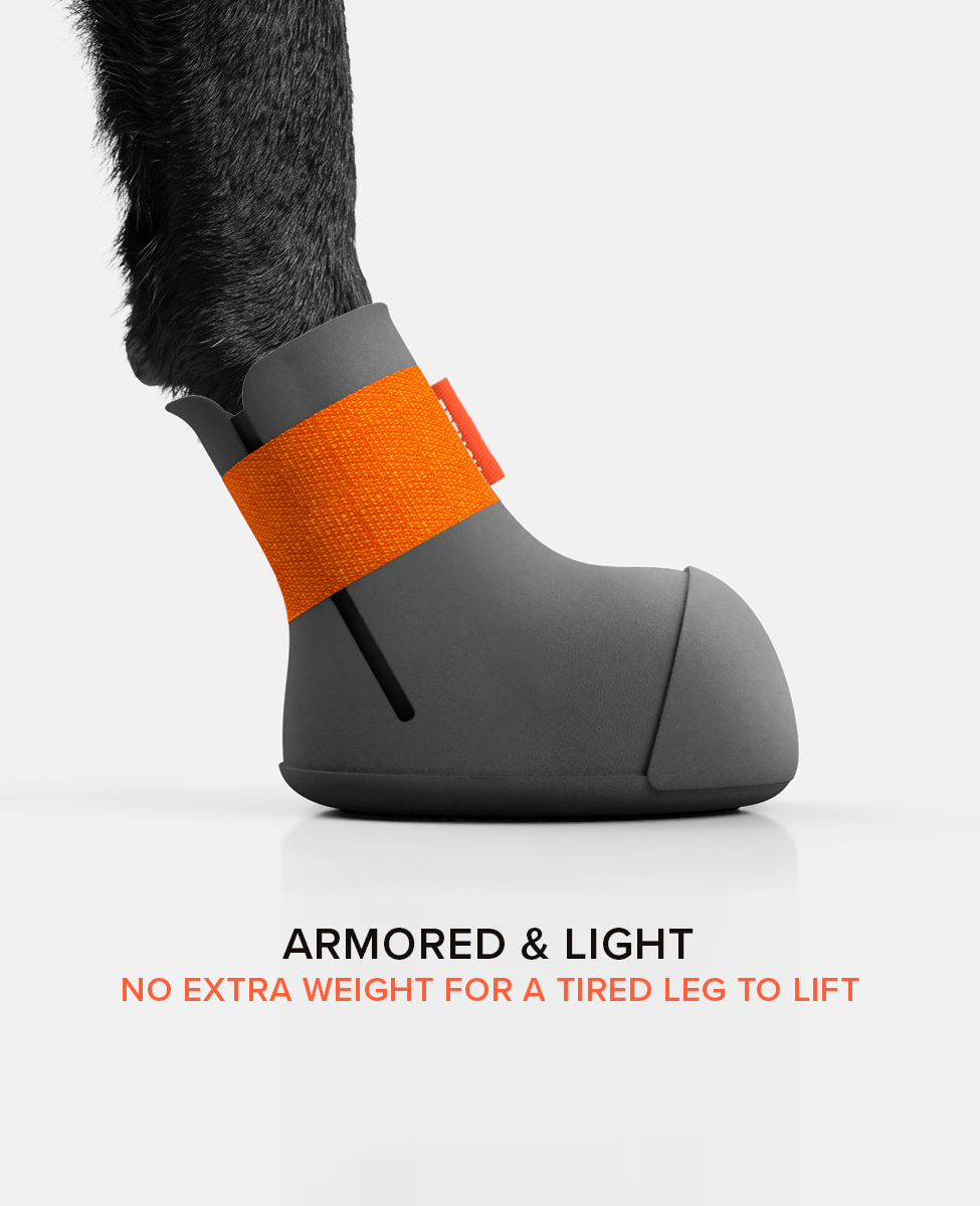 Custom Degenerative Myelopathy dog shoe side view - amored and light