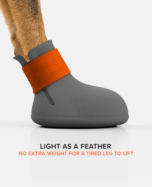 BARK & SOLE Custom arthritis dog shoe side view