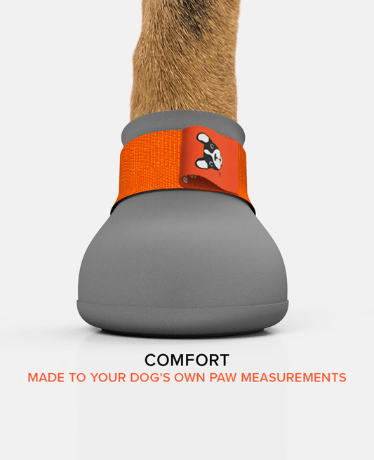 BARK & SOLE Custom arthritis dog shoe front view