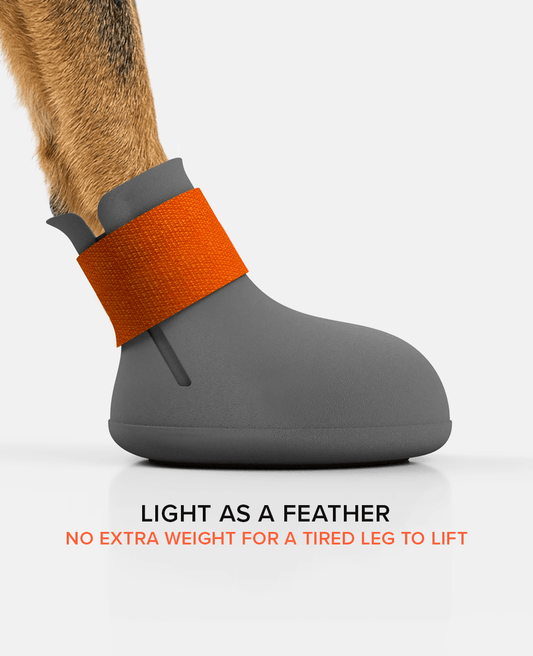 BARK & SOLE Custom arthritis dog shoe side view