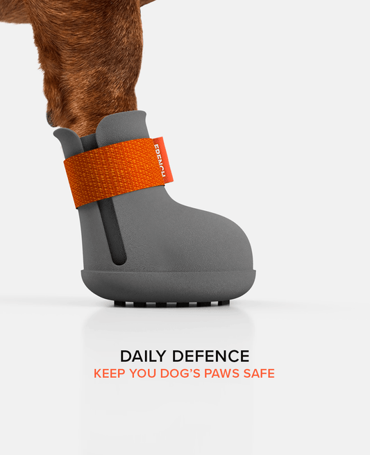 Custom Dachshund dog shoe side view