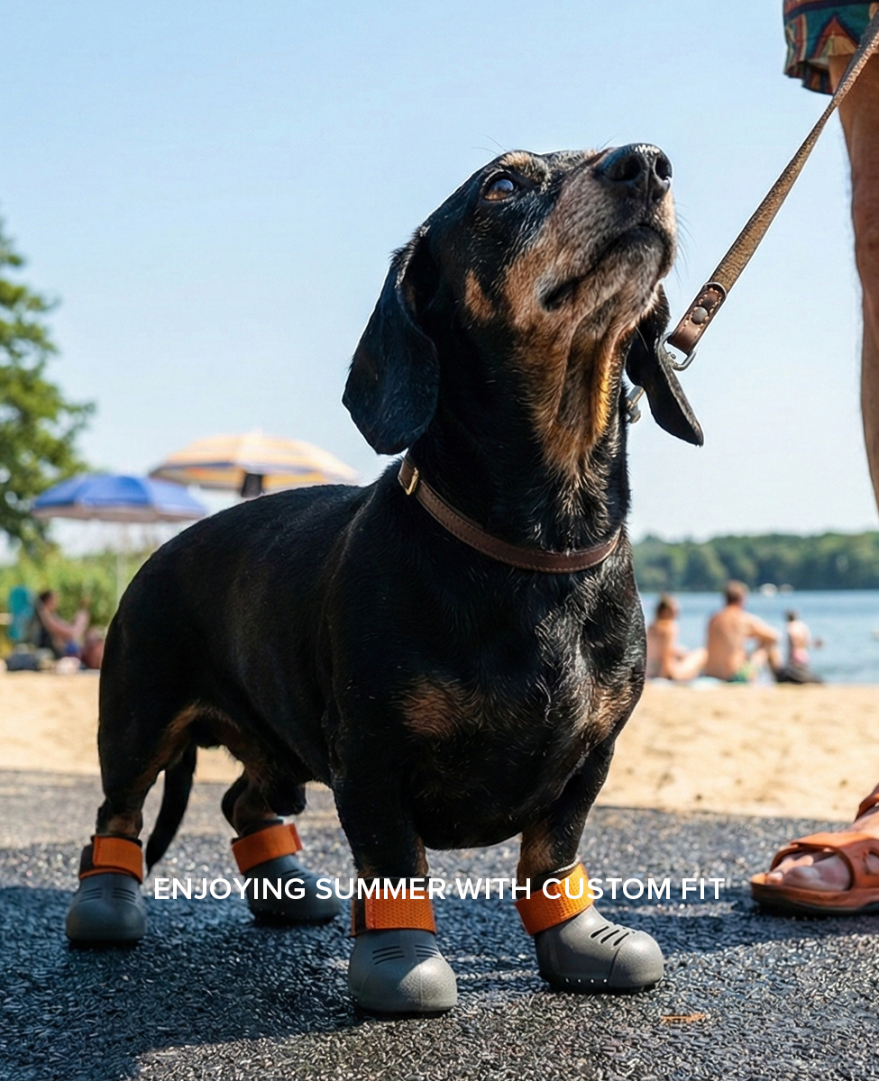 Dachshund and custom shoes beside beach