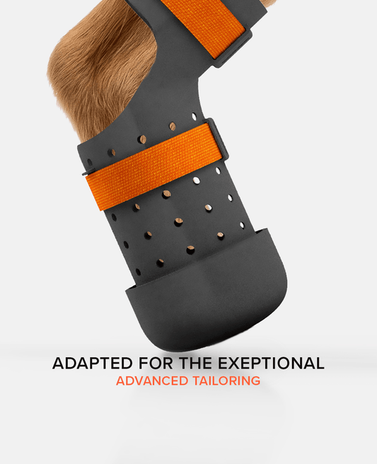 Custom made dog shoe for handicapped dog