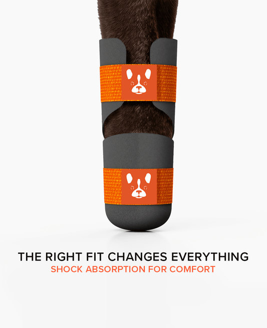 BARK & SOLE custom frorelimb dog shoe