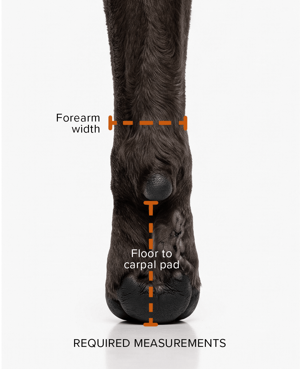 FORELIMB DOG SHOE