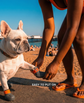 French bulldog custom summer dog shoes are easy to put on