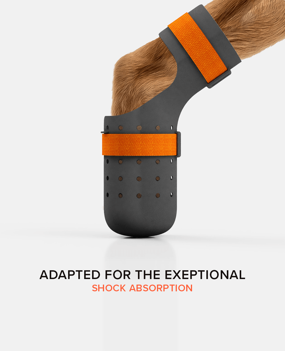 BARK & SOLE Hind limb custom dog shoe side view