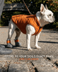BARK & SOLE IVDD dog shoe summer 