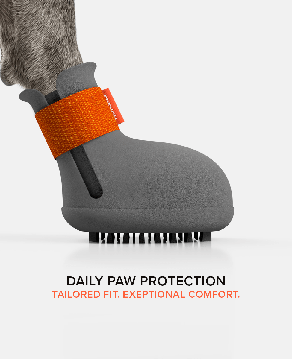 BARK & SOLE custom staffy dog shoe side