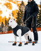 BARK & SOLE staffy winter dog shoes
