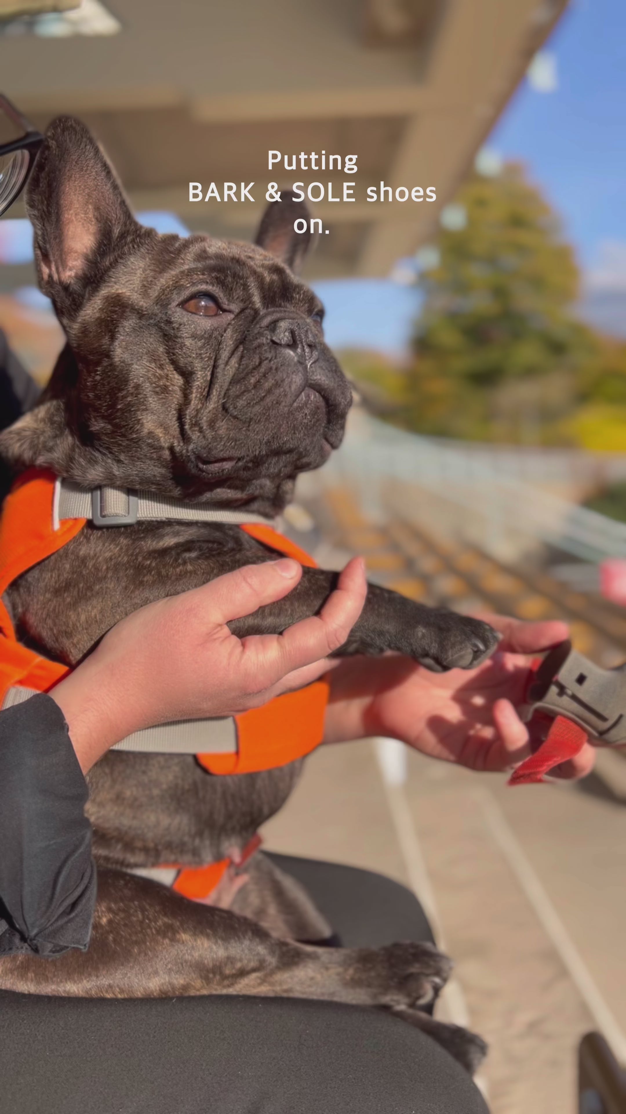 Load video: 