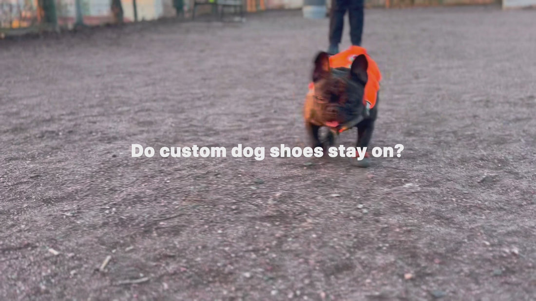 Why custom dgo shoes tay on